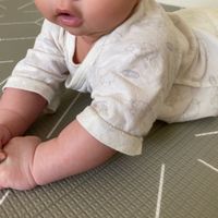 akachan honpo - 新生兒內衣6件組長袖 釦子款-動物-淡灰色 (50～60cm)
