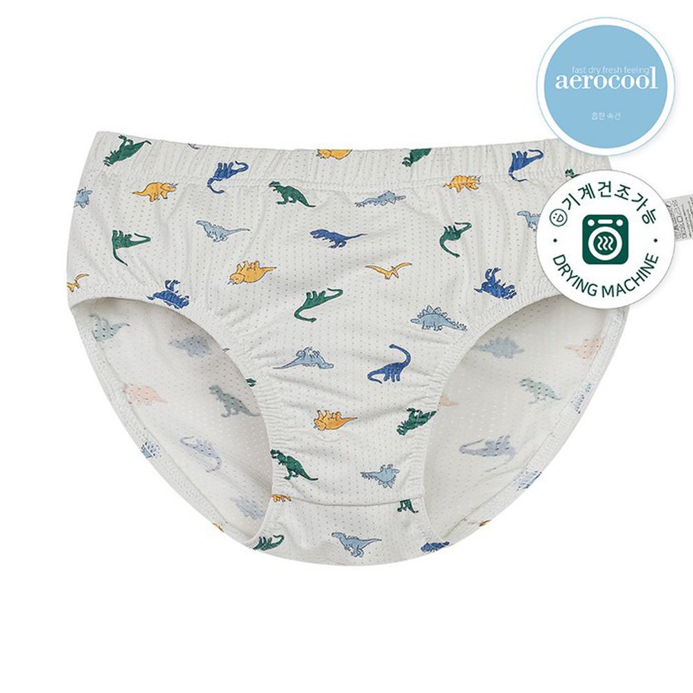 aerocool 涼感快乾洞洞三角褲(男寶)-恐龍世界-灰