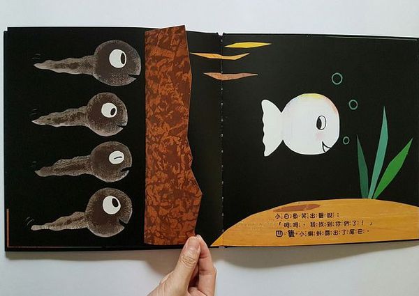 跟小白魚一起玩躲貓貓