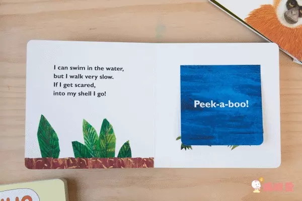 全球知名童書大師艾瑞卡爾Eric Carle ★英文認知硬頁書★ 一歲就能入手～給幼兒最棒的英文學習禮物！