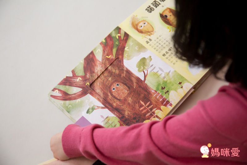 華碩文化 - 【3本合購】大自然觀察拉拉書(是誰藏在沙漠和海裡?+是誰藏在森林和雪地?)+有聲書(猜猜我長大變成什麼？)