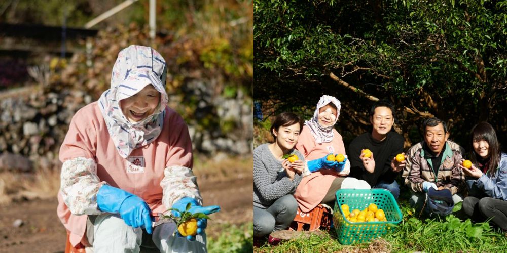 【日本製】d-aroma天然精油滋潤護手霜♡日本精油第一品牌