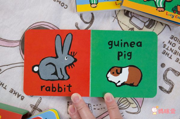 MAISY LITTLE LIBRARY/4 IN 1-盒裝書.內含4本硬頁書