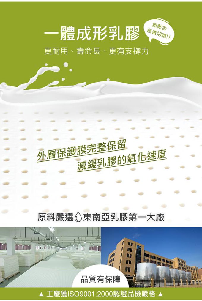 鴻宇 HongYew - Hello Kitty兒童標準型乳膠枕-哈尼小熊-灰