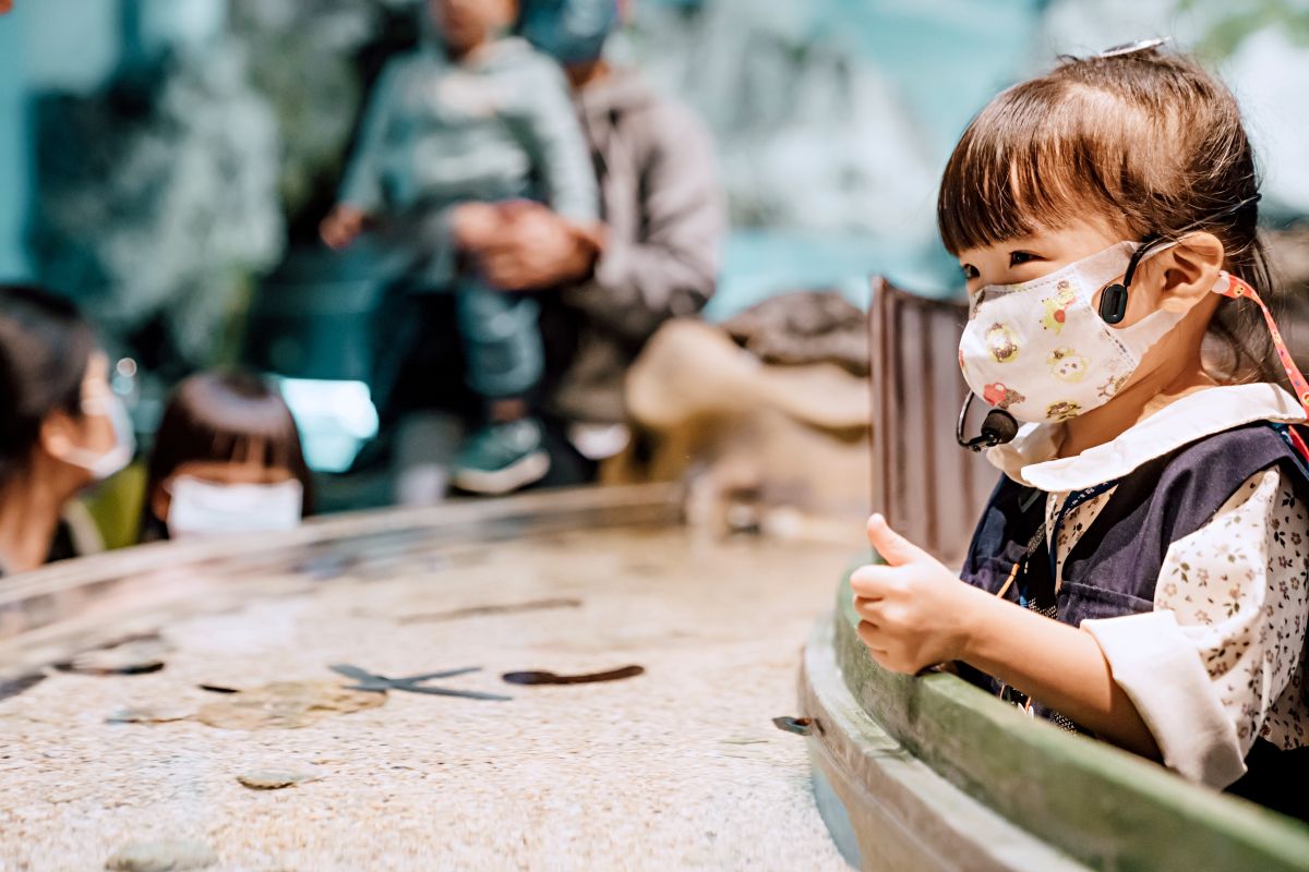 暑假安心玩！小墾丁渡假村+屏東海生館迷你解說員