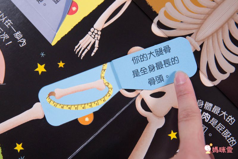 ★打造聰明好腦袋★益智翻翻小百科 / 童趣推拉轉操作書大集合！