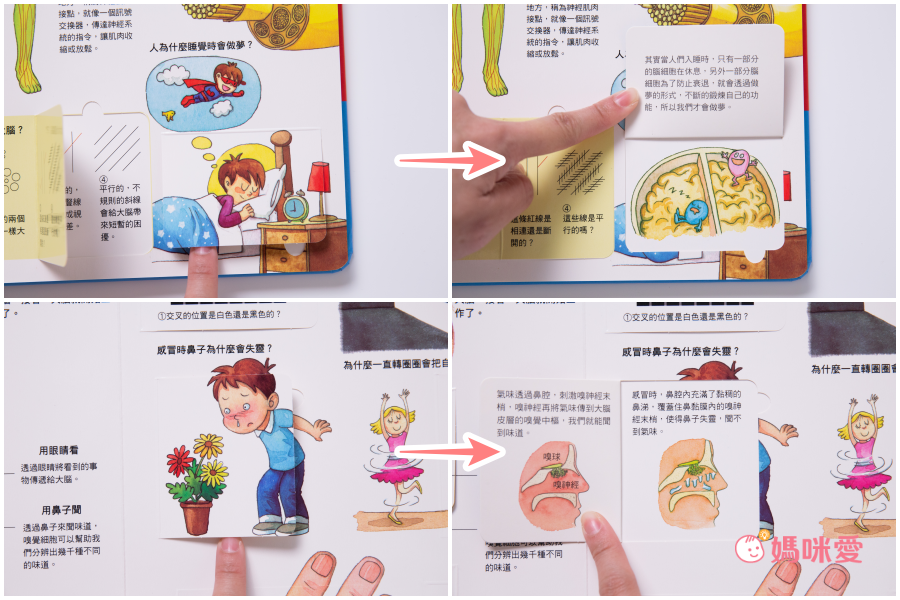 在家輕鬆玩實驗《STEAM 實驗魔法盒》，成為小小科學家好簡單！