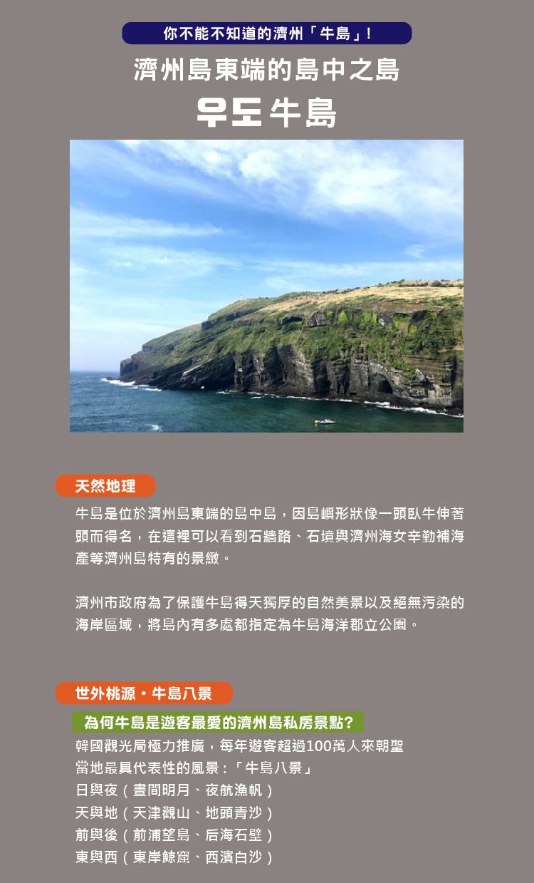 JejuMami 濟州媽咪 - 濟州純淨柑橘米餅脆片2入組+純手工海苔捲2入組-(有效期限 05/28/2021)