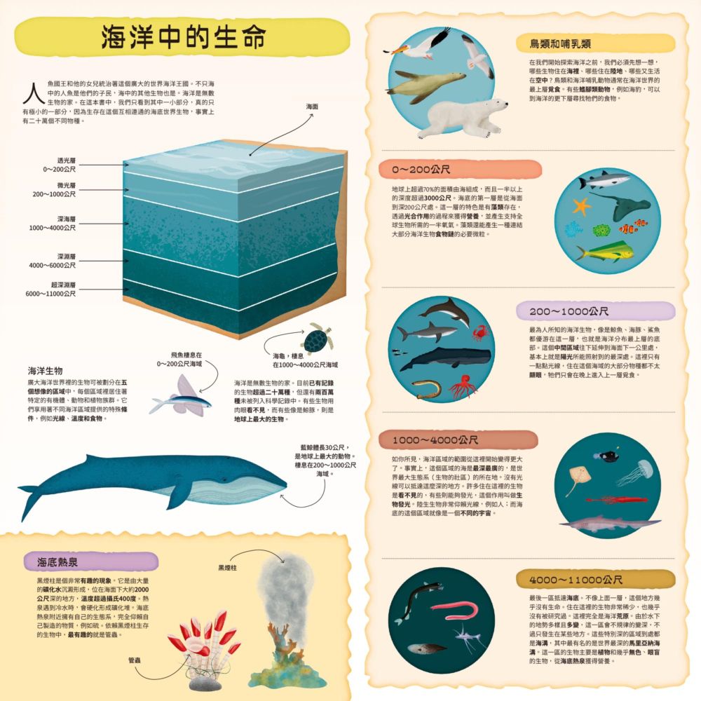 童話知識小百科翻翻書4跟著小美人魚探索海洋世界