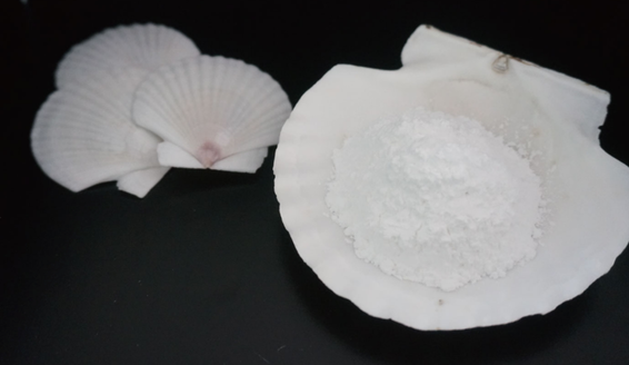 日本 HOTAPA - 日本製天然貝殼清潔錠(洗衣機用) (100顆/包(45g)*5包)