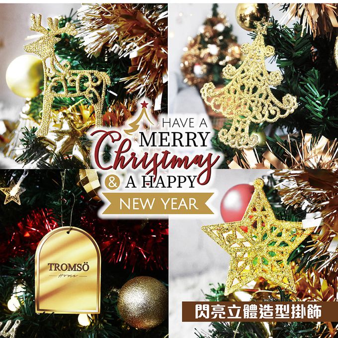 TROMSO - 北歐絕美聖誕樹-挪威松果森林 (210cm)