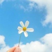 用戶頭像