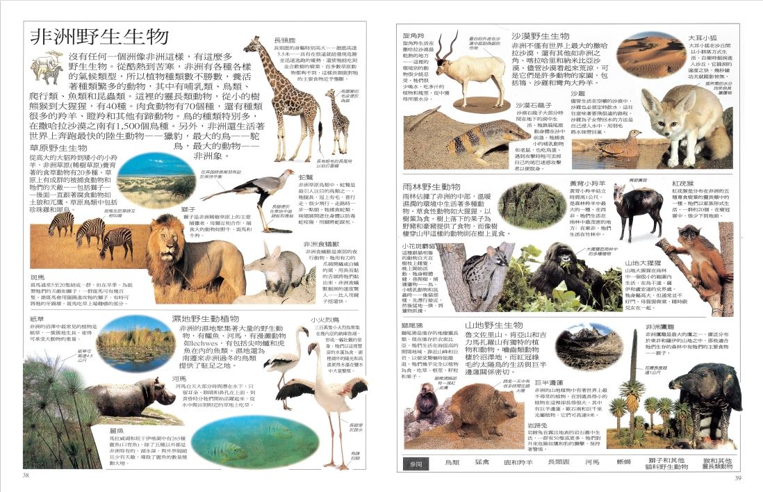 小牛津 - 【DK】說給孩子聽的知識百科-點讀版-6冊+4片CD