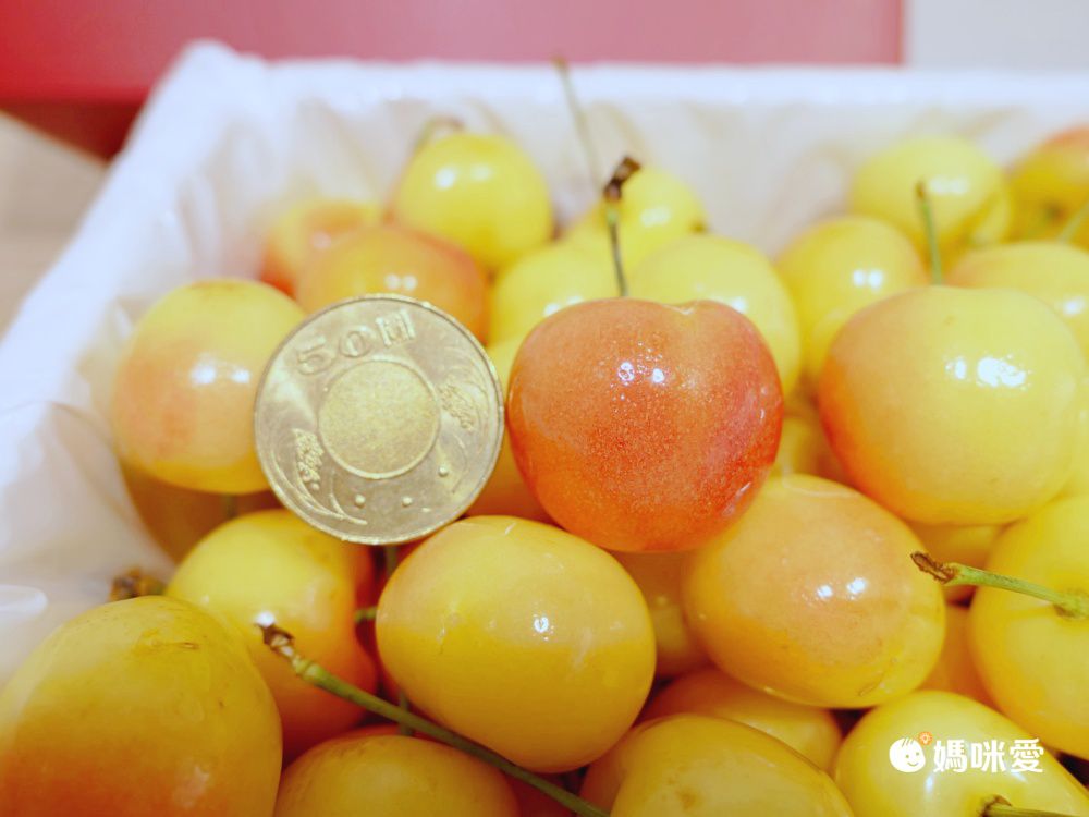 智利新鮮空運！最高等級 夢幻白櫻桃 精選 30-34mm 大尺寸！