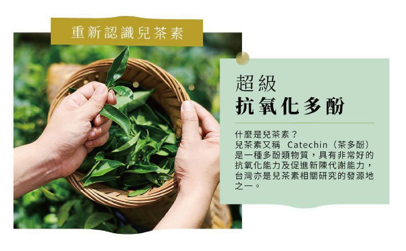 Teascovery 發現茶 - 冷泡 兒茶素綠茶 30入盒裝