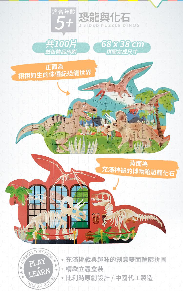 比利時 Scratch - 雙面輪廓拼圖-恐龍與化石-100片