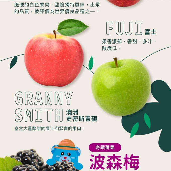 ACE - NFC Juice鮮榨蘋果汁 (單入)-200ml