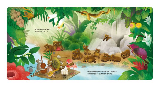 森林裡的音樂大師－午後時光演奏會