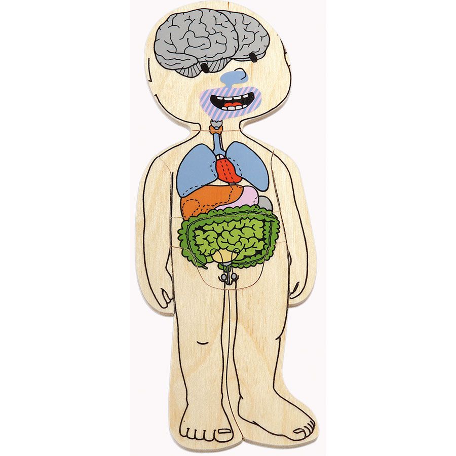 Beleduc - 多層拼圖-男孩