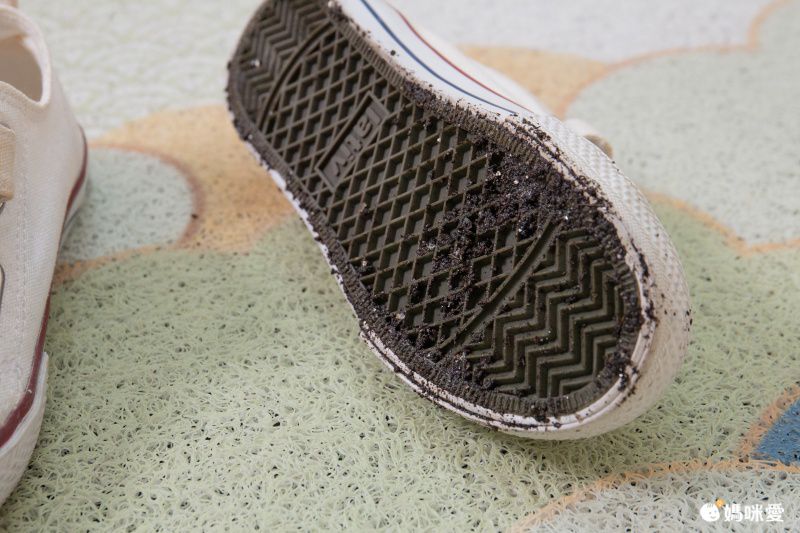 防塵刮沙入門玄關腳踏墊-山外山