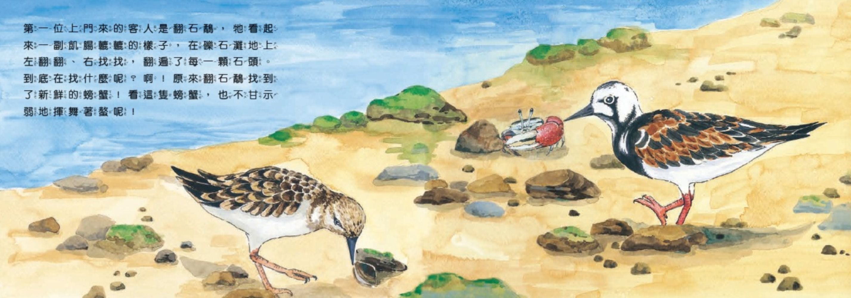 歡迎光臨溼地鳥餐廳