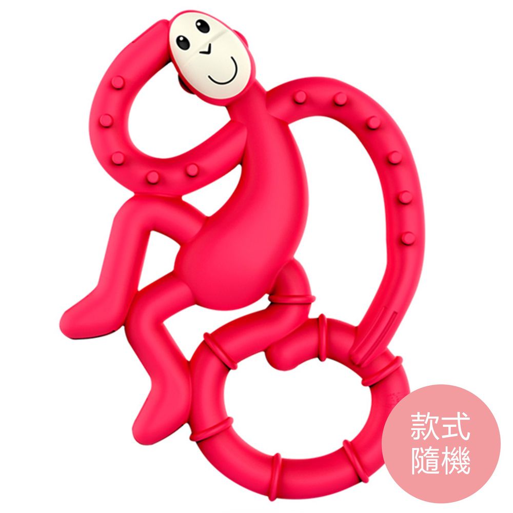 Matchstick Monkey - 跳舞猴牙刷固齒器(款式隨機)-組合單品
