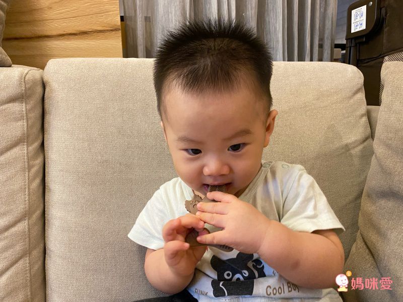 牙科大學共同研發【日本 Richell】 五階段乳齒訓練牙刷