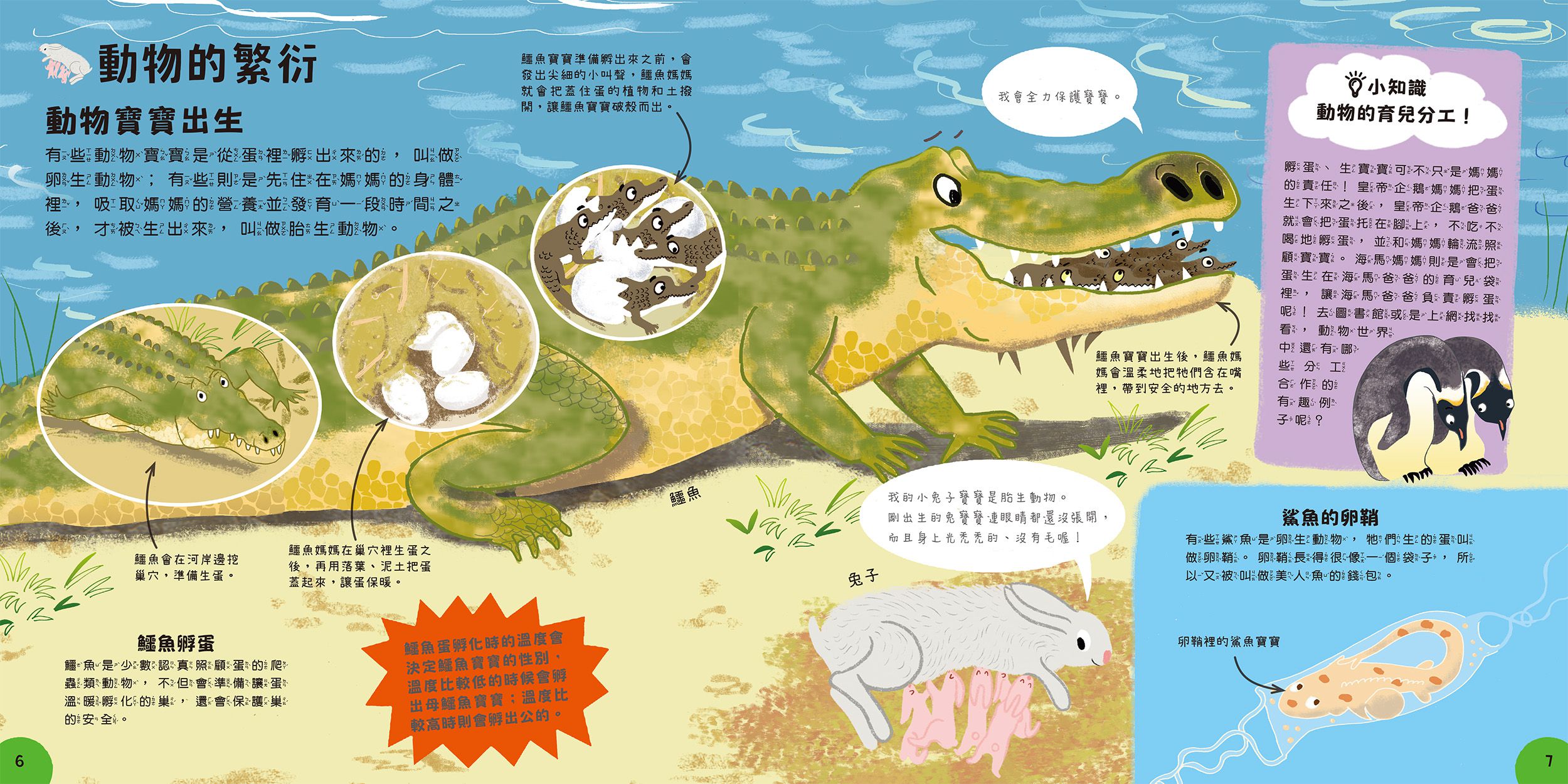 小小知識家的百科書套書10冊(書盒版)