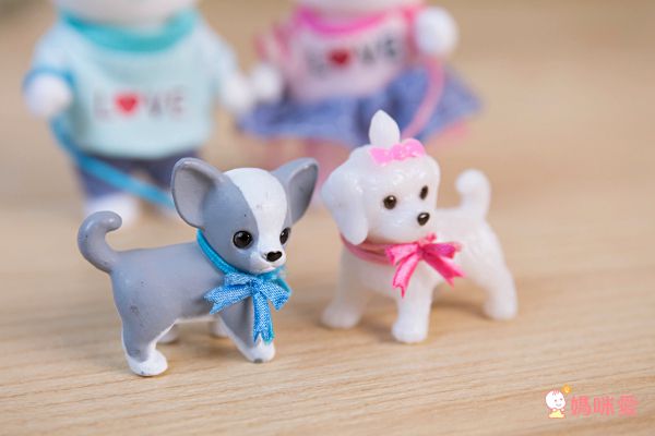 韓國【兔寶家族家家酒】正版授權，滿額送樂高收納盒