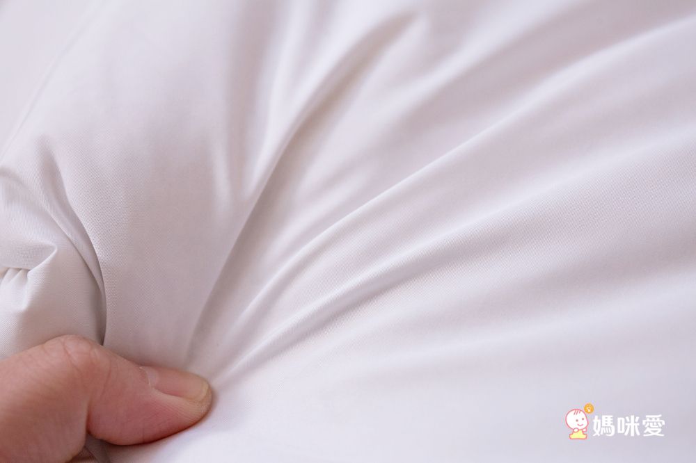 限時買1送1！【Arnold Palmer雨傘牌 】羽絨被/ 防水保潔墊