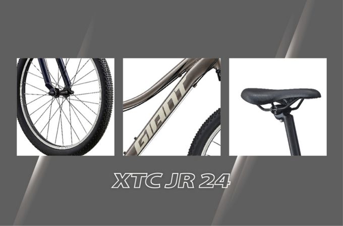 GIANT 捷安特 - XTC JR 24 青少年避震越野自行車-金屬灰 (單一尺寸)