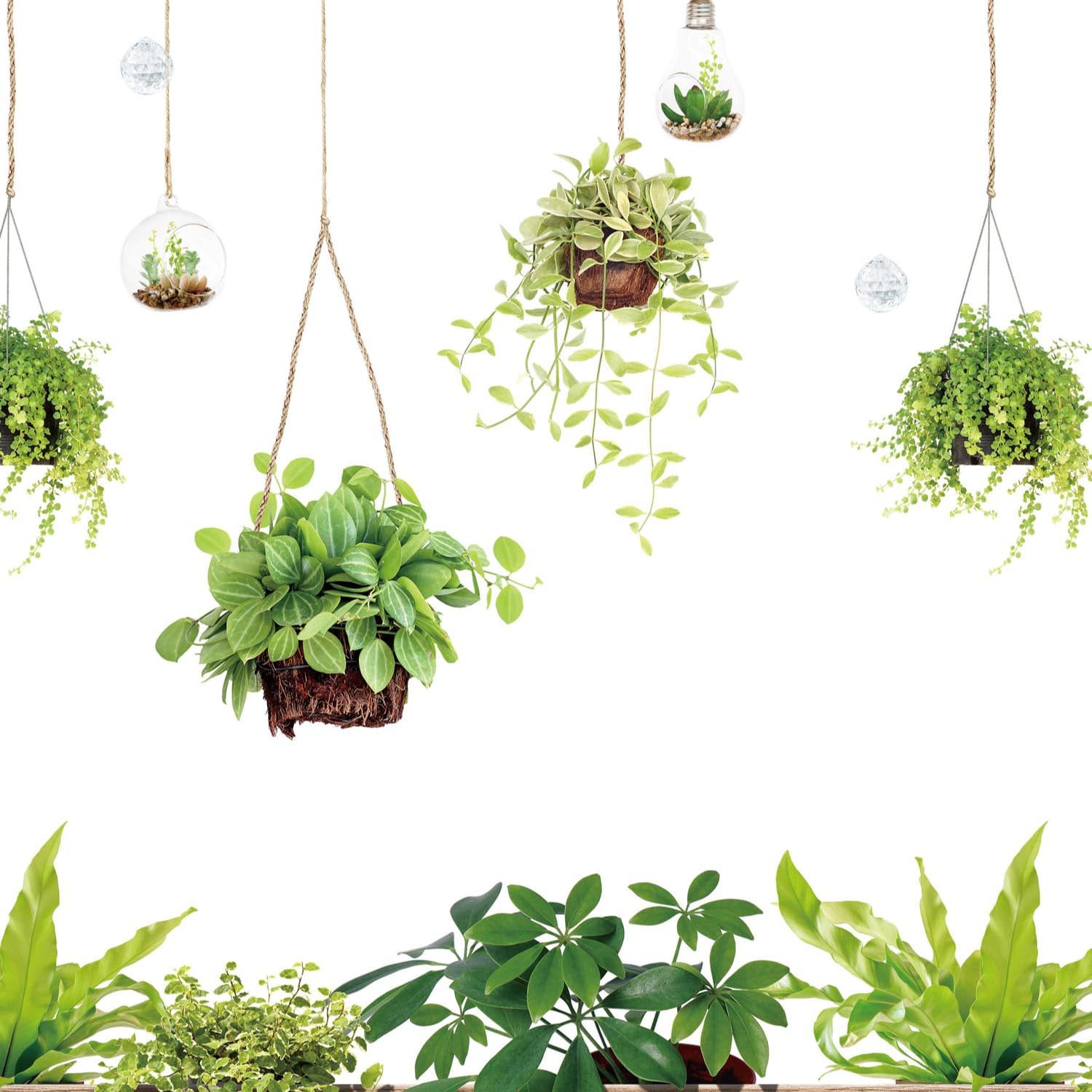 日本千趣會 - 日本製 99%抗UV綠意光影窗貼(靜電式)-熱帶風 (90×90cm)