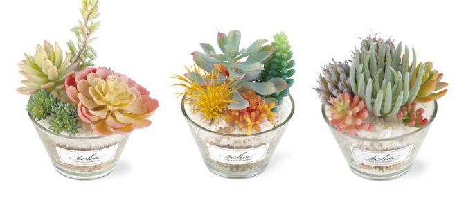 日本 KISHIMA - CT觸媒 消臭仿真多肉盆栽-圓盆-KH-61185 (12x12.5x15cm)