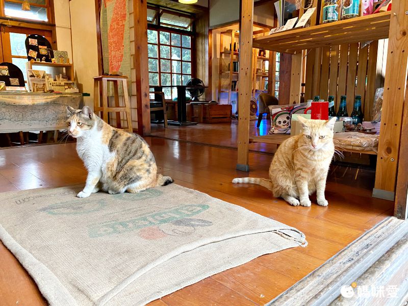 伴手禮澎湃送♡ᵕ̈ 超值四人房【雲林緻麗伯爵】住宿券