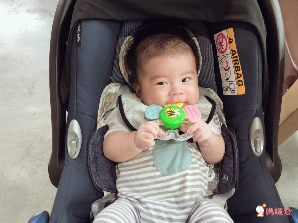 日本 Combi - 蜜蜂花瓣固齒玩具-3個月起