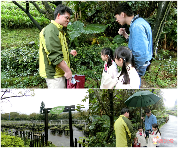 陽明山天籟渡假酒店(YANG MING SHAN TIEN LAI RESORT & SPA)