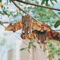 用戶頭像