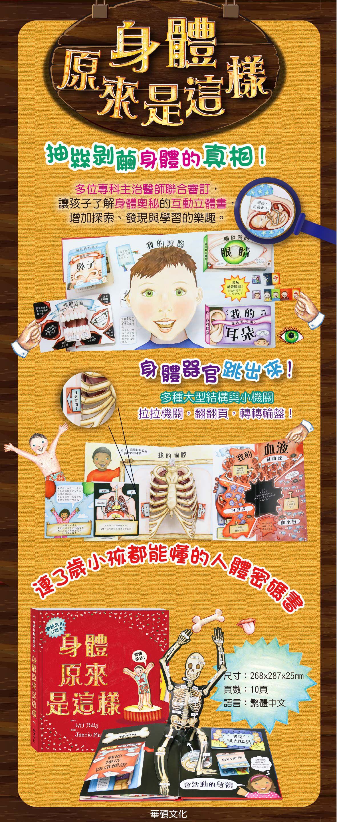 身體原來是這樣