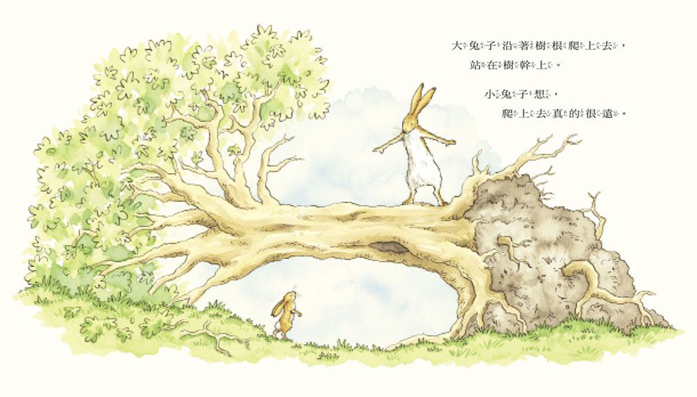 【猜猜我有多愛你套組】猜猜我有多愛你＋最喜歡的地方（贈獨家便條紙）