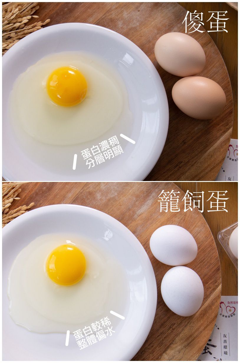 傻蛋-友善放牧蛋 - 紅羽土雞蛋-1箱/40顆