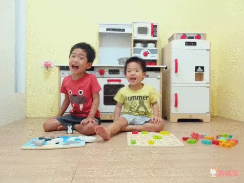 德國【Hape】天然實木質感立體拼圖 ✖ 配對拼圖