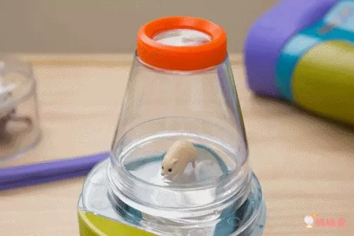 美國 Educational Insights - 小小探險家-昆蟲研究站