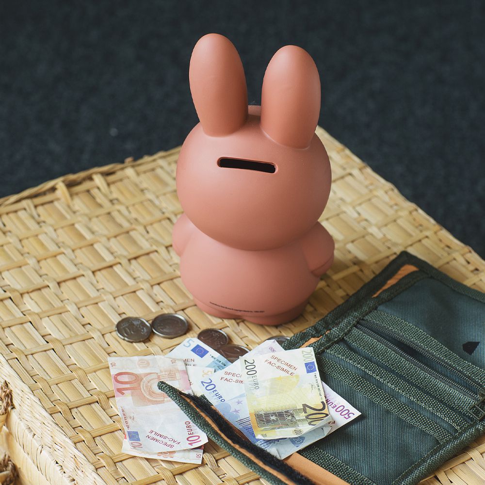 Miffy米菲兔莫蘭迪公仔存錢筒(中號)-紅棕色