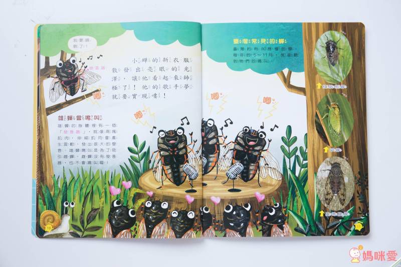 2021【康軒雜誌】跟團即送：【生活數學遊戲寶盒+新期刊】