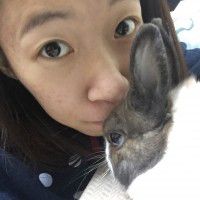 用戶頭像
