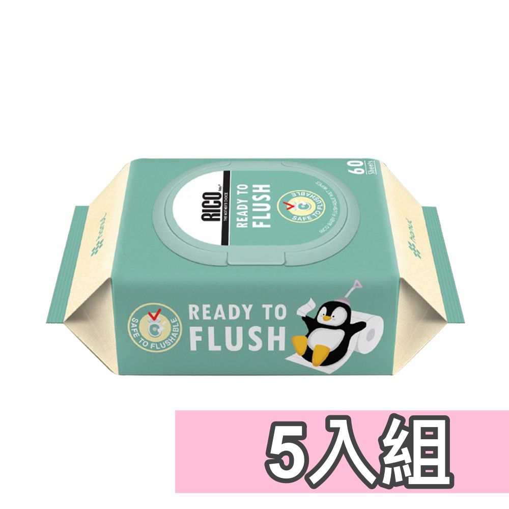 兒童可沖式濕紙巾(60抽)－5入