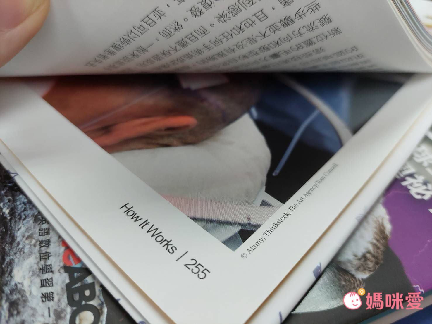 滿足全家大小的求知慾【Live ABC】How It Works知識大圖解