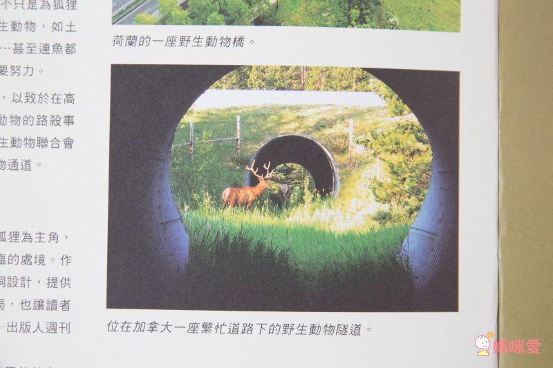 小狐狸回家-精裝圖畫書