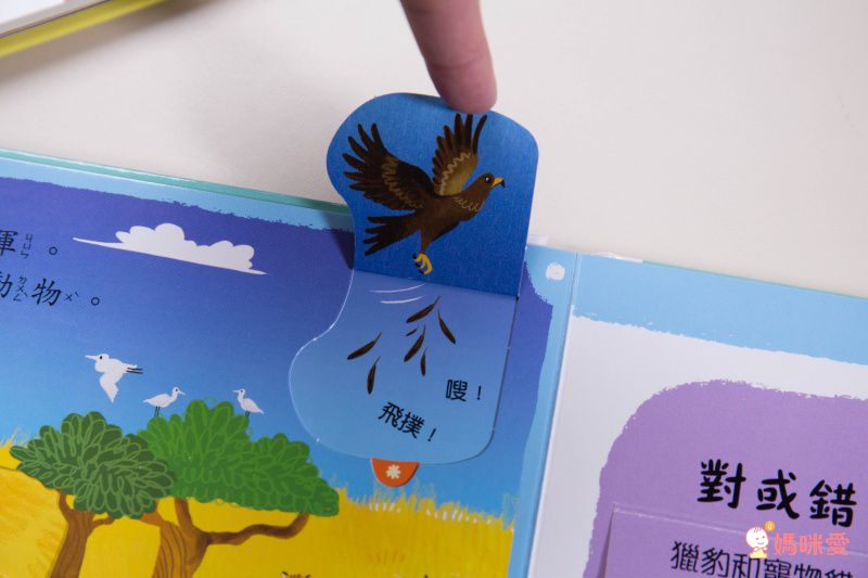 ★打造聰明好腦袋★益智翻翻小百科 / 童趣推拉轉操作書大集合！