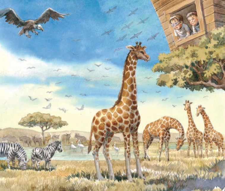 神奇樹屋中英雙語套書 1-55集-大全套